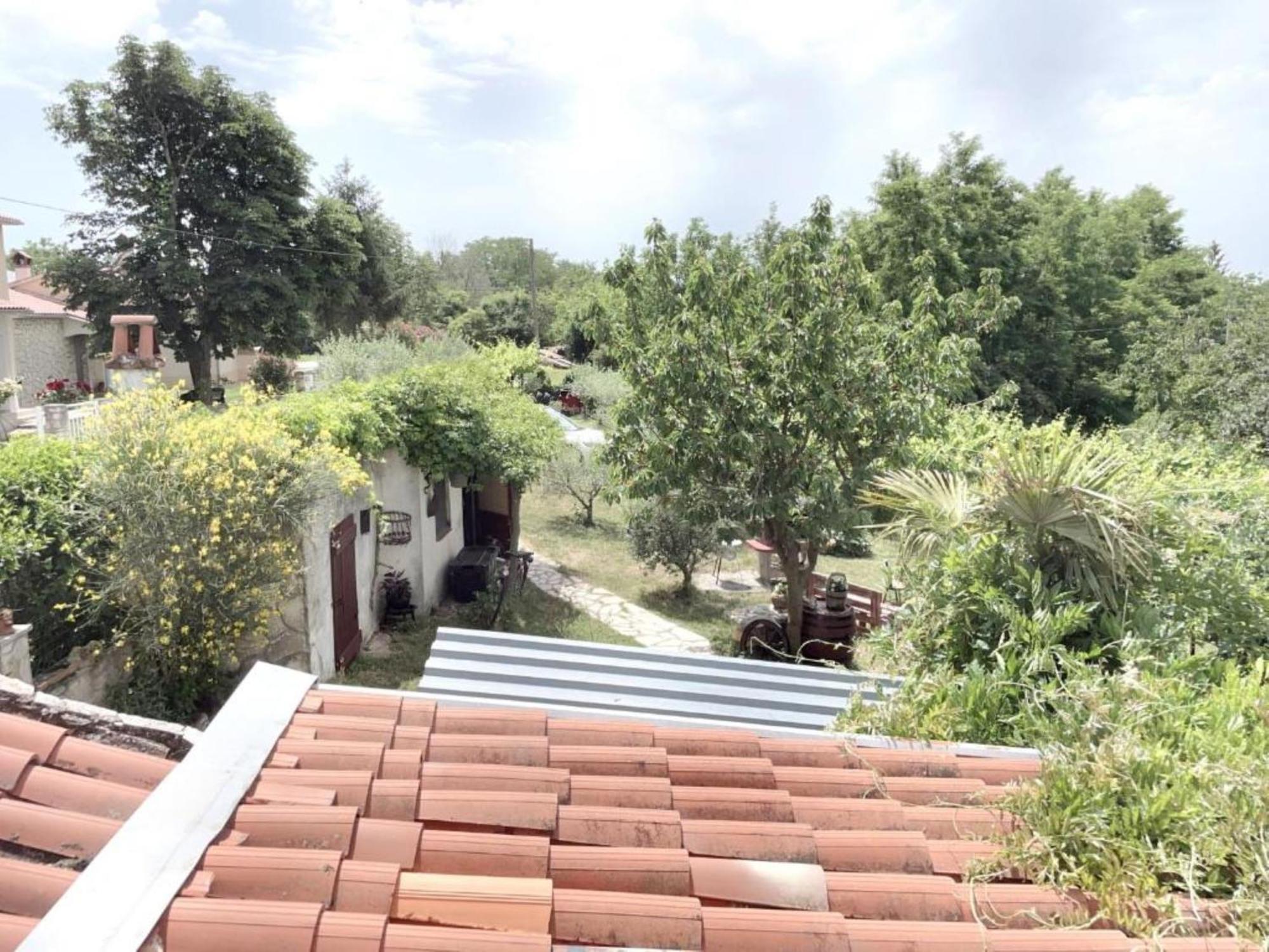 Filich Experience * Labin (Istria)